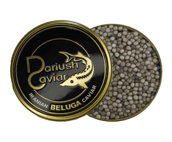 beluga caviar