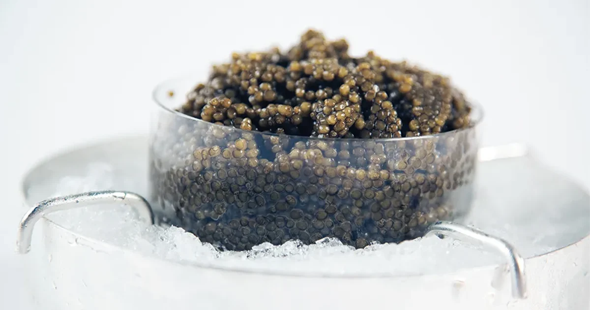 Conclusion how to open and close the caviar container