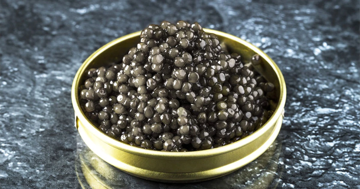 Conclusion of the main differences between Siberian caviar and Osetra caviar