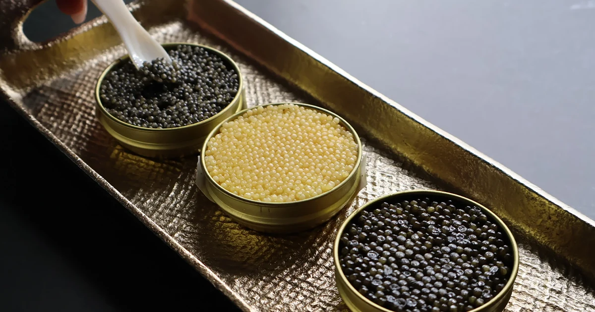 Differences Between Beluga, Osetra, and Sevruga Caviar