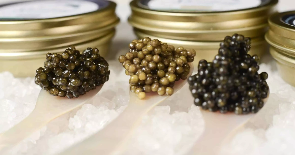 How Caviar Boosts Immunity