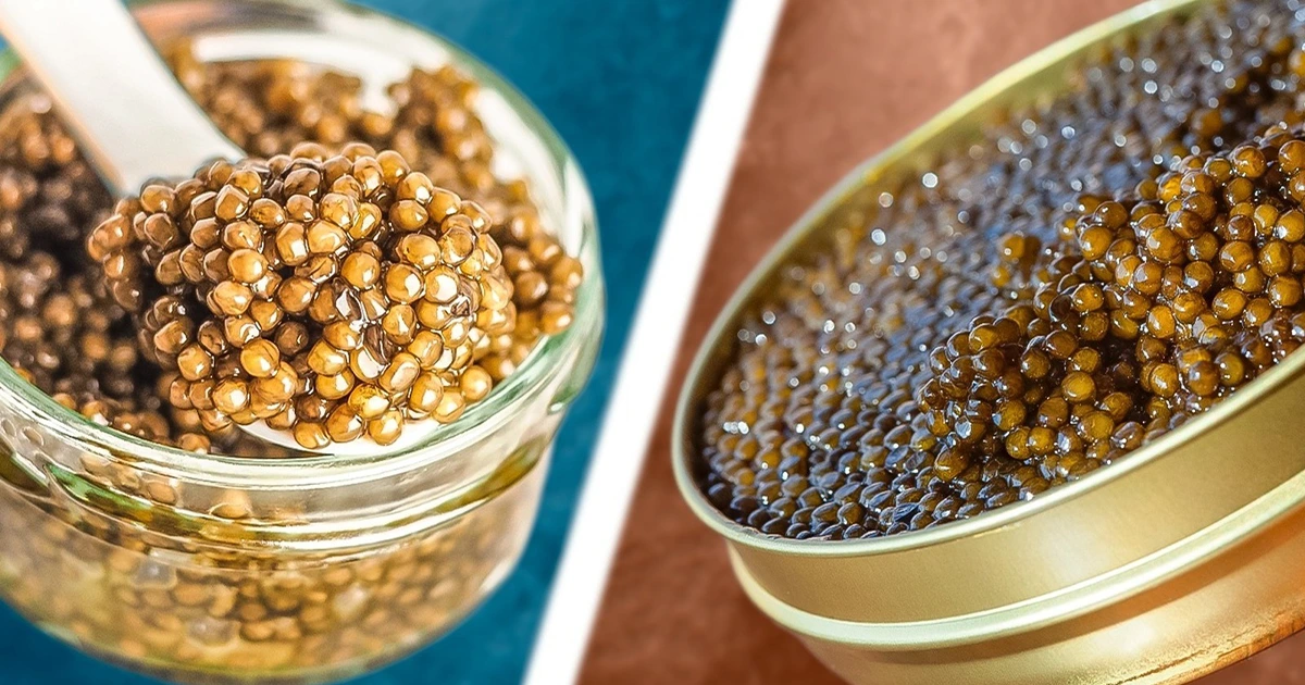 Is Osetra Caviar Better Than Siberian? A Taste and Quality Analysis