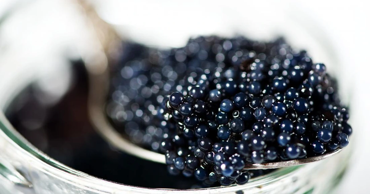 Omega-3 Fatty Acids in Caviar