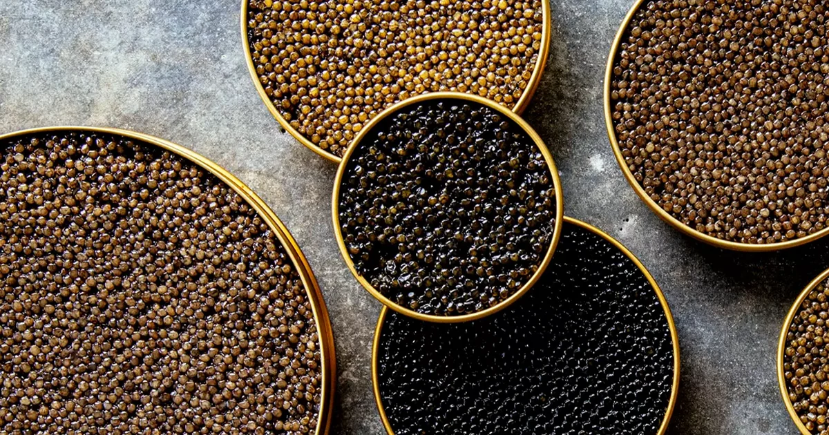 Steps to Open a Caviar Container