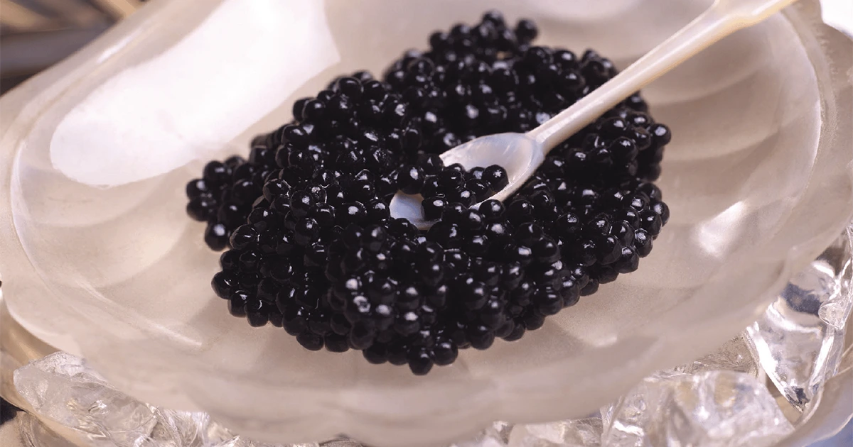 The conclusion of Is Royal Siberian caviar good?