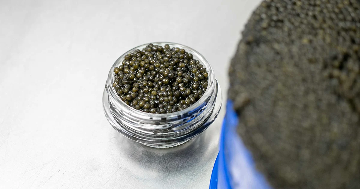 Understanding Caviar Containers