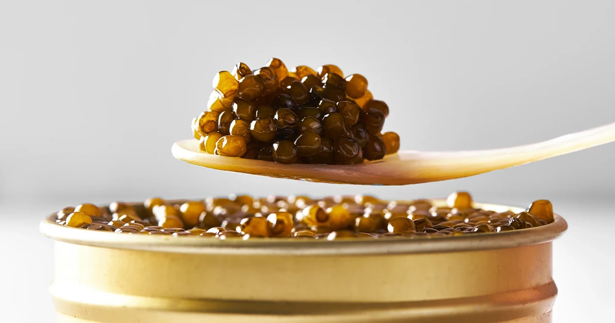 Where to Buy Bulk Siberian Caviar? Trusted Sources & Tips